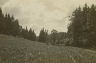 Erzgebirge. Im Mordgrund am Sattelberg