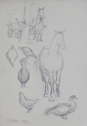 Tierstudien (Pferd, Hühner, Gans)