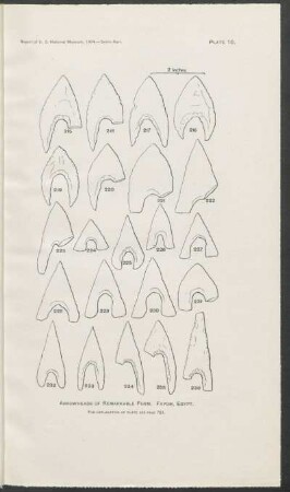 Plate 10. - Arrowheads of remarkable form. Fayum, Egypt.