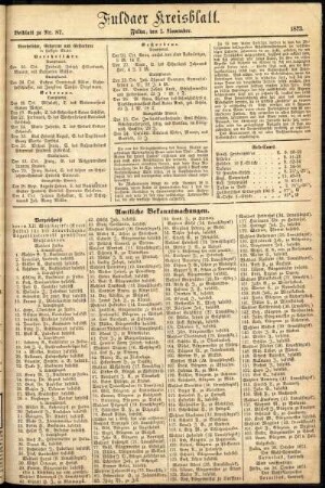 Zweite Ausgabe vom Samstag, den 01. November 1873.