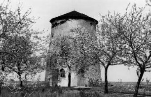Sachsendorf. Erdholländer