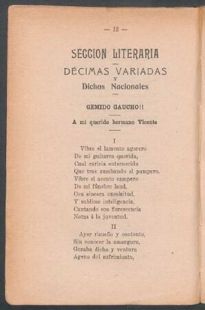 Gemido gaucho!! : A mi querido hermano Vicente