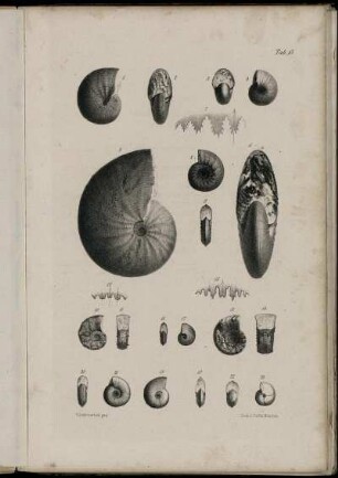 Fig. 1-23