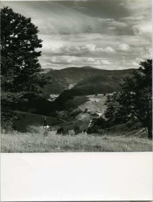 Blick vom Schauinsland
