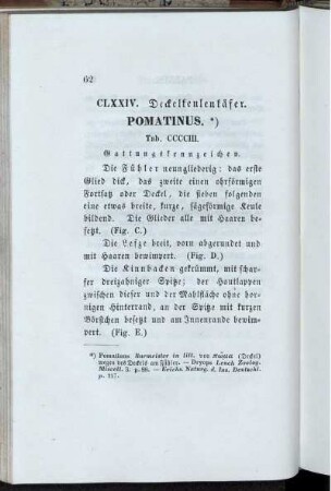 CLXXIV. Deckelfeulenkäfer. Pomatinus.