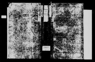 Eberbach, katholische Gemeinde: Standesbuch 1810-1818