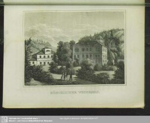 Königlicher Weinberg