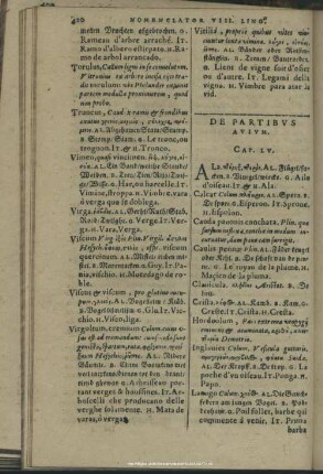 De Partibus Avium. Cap. LV