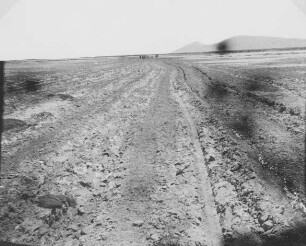 Salinas grandes - Chañi