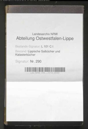 Salbuch der ehem. Vogtei Hohenhausen von 1856, Bd. 2