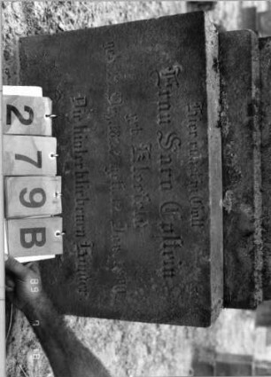 Grabstein 279 (Index: 99797806) Material: Sandstein, weiß, Marmorplatte Zustand: gut Maße HxBxT: 166x60x22 cm Beschreibung: Stele, Rundbogenaufsatz rechteckig erhöht, getreppter Sockel Symbolik: Mohnpflanze Steinmetz: Henne: Grabstein 279B