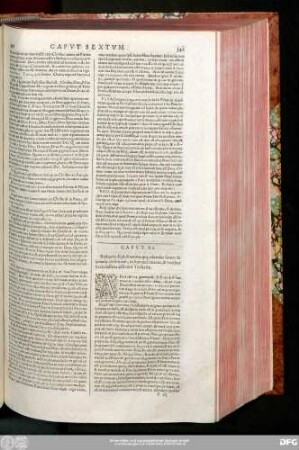 Caput VI. Refutatio sophismatum, qu[a]e adversus sanam de [...] doctrinam, ex humana ratione, & vocibus Ecclesiasticis adferunt Tritheitae.