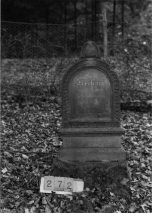 Grabstein 272