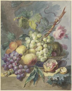 Fruchtstück mit Trauben, Pfirsichen usw., dabei eine Rose