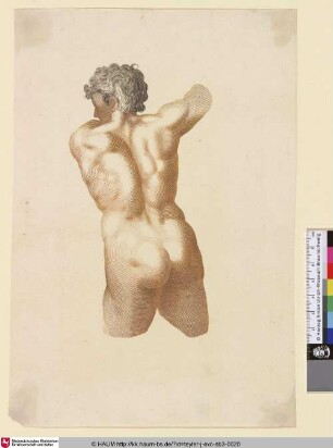 [Aktstudie des Torsos eines Mannes von hinten; Nude Man From Behind]