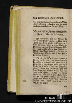 Marum verum, Amber oder Mastirkraut, Marum Syriacum.