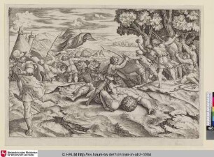 [David coupant la téte à Goliath; David enthauptet Goliath]