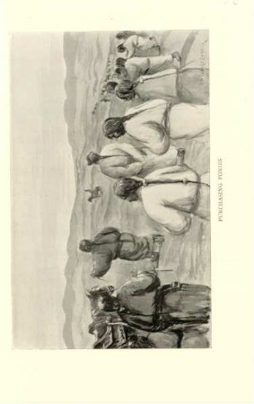 Purchasing ponies