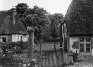Reetdachhäuser, Stapelholm, Schlei- und Eidermündung