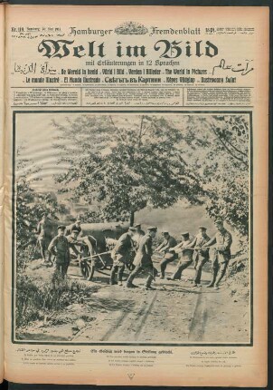 Nr. 119. Hamburg, 30. Mai 1917