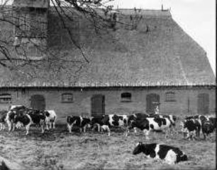 Landesgut Kaltenhof für Tierzucht auf der Insel Poel