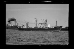 Alcyone (1956), Argo Reederei.- Argo Reederei Richard Adler & Söhne, Bremen