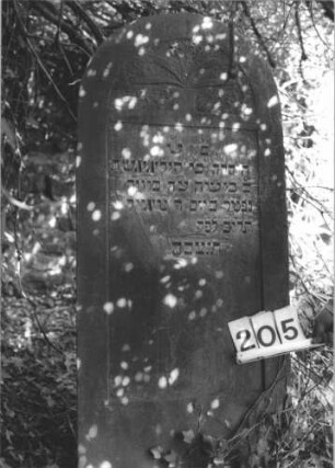 Grabstein 205
