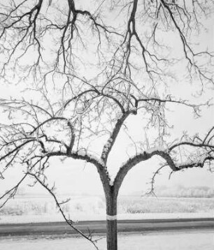 Friedhof, Damnatz/Elbe, Wendland, Deutschland, 2003