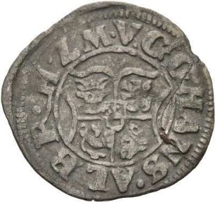Mecklenburg-Güstrow: Johann Albrecht II.
