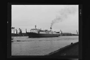 Argo (1976), Frachtschiff (RoRo), Argo Reederei Richard Adler & Söhne, Bremen, Bau-Nr. 1391