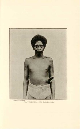 Plate V. Negrito man from Aglao, Zambales