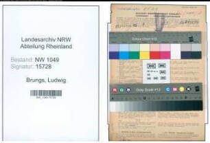 Entnazifizierung Ludwig Brungs , geb. 12.05.1900 (Bahnschaffner)