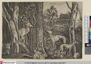 La pièce d'animaux [Sieben verschiedene Tiere]