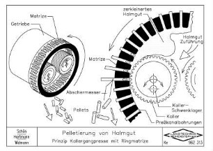 Pelletierung von Halmgut Prinzip Kollergangpresse mit Flachmatrize