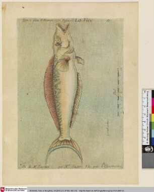 La Vive; Tom. II. plan. 8. Fevrier 1757. Page 160.