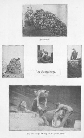 Im Hochgebirge.
