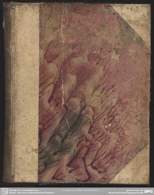 Disputatio Inauguralis Theologica De Non Speranda Extra Ecclesiam Lutheranam Salute