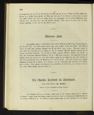 Die Gurken-Treiberei im Treibhause.