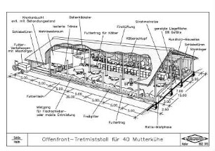 Offenfront-Tretmiststall für 40 Mutterkühe