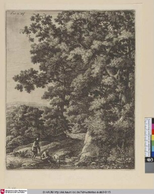 [Ein Hund aus einem Bach trinkend; A dog drinking from a stream]
