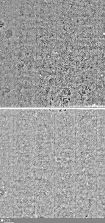 Lilie / Tj = Bd.1, S.229/230+235/236