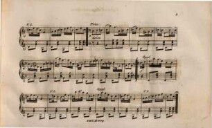 Epheu-Kraenzchen : Polka's & Mazurkas für d. Zither ; op. 2