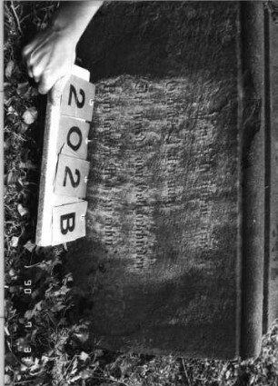 Grabstein 202 (Index: 99790343) Maße HxBxT: 168x57x28 cm Symbolik: 2 Amphoren: Grabstein 202B