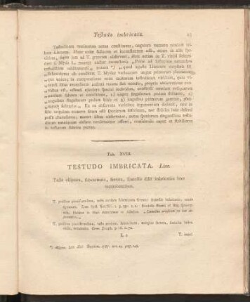 Tab. XVIII: Testudo Imbricata. Linn.