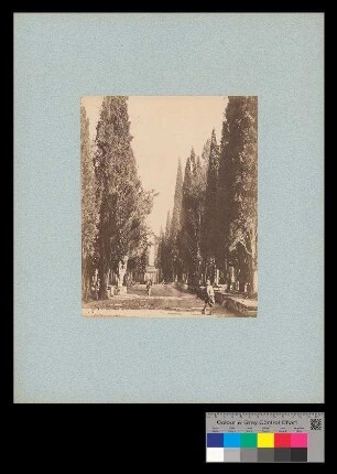 Constantinopel / Türkischer Friedhof in Scutari.