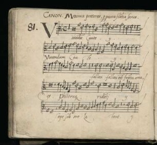 81. Vivendum caute, fallax est frontis
