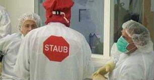 Staub