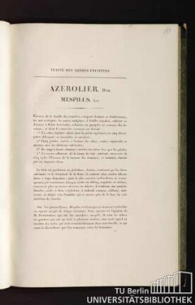 Traité des arbres fruitiers. Azerolier. Duh. Mespilus. Lin.