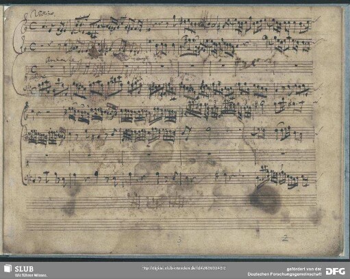 Salve regina