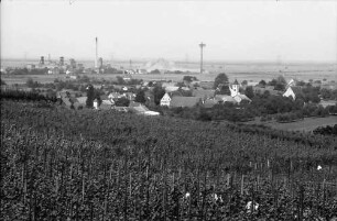 Seefelden: Weinberge; Hintergrund Kaliwerk Buggingen